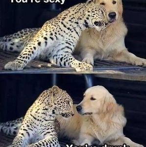 Meet your Posher, Kara dani